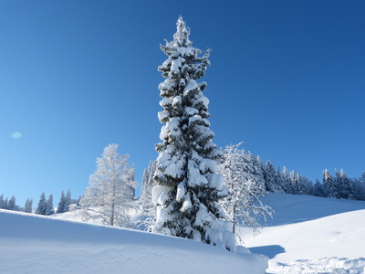 Sponsored Video: Gipfel, Gletscher und Gruyère – Winterurlaub in der Schweiz