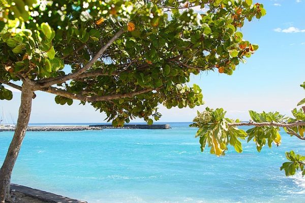 Ein Flug direkt ins Paradies: La Réunion – eine der schönsten Inseln im Indischen Ozean